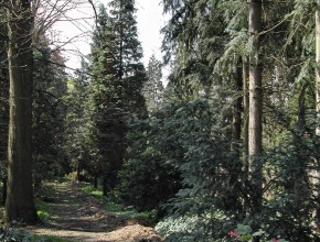 Tuin